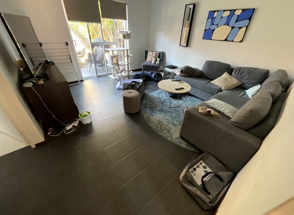 leederville multi room renovation - 2025 portfolio